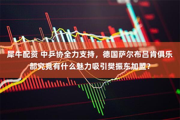 犀牛配资 中乒协全力支持，德国萨尔布吕肯俱乐部究竟有什么魅力吸引樊振东加盟？