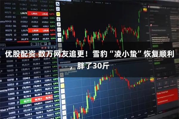 优股配资 数万网友追更！雪豹“凌小蛰”恢复顺利，胖了30斤