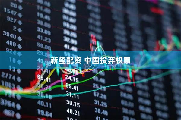新玺配资 中国投弃权票