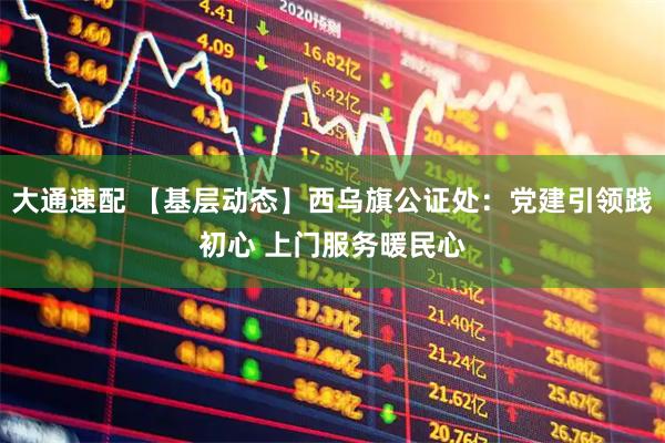 大通速配 【基层动态】西乌旗公证处：党建引领践初心 上门服务暖民心