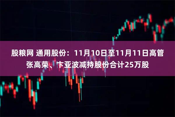 股粮网 通用股份：11月10日至11月11日高管张高荣、卞亚波减持股份合计25万股