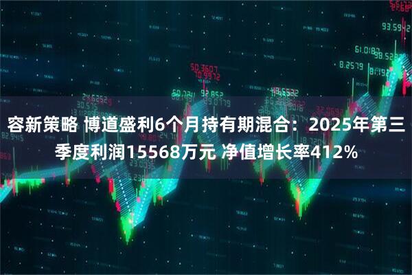 容新策略 博道盛利6个月持有期混合：2025年第三季度利润15568万元 净值增长率412%