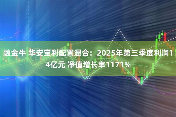 融金牛 华安宝利配置混合：2025年第三季度利润14亿元 净值增长率1171%